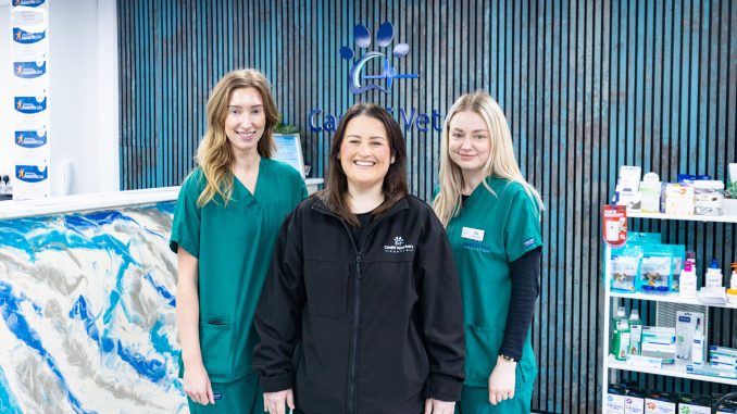 Three female veterinarians