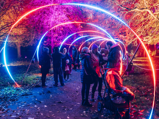 Families at Christmas at Bute Park