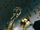 A gold trophy against a dark background surrounded by gold confetti.