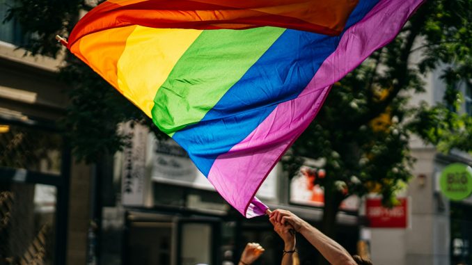 people holding flags during daytime