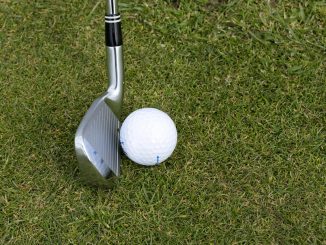 Golf club and ball on grass showcasing a leisure sport scene outdoors.