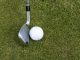 Golf club and ball on grass showcasing a leisure sport scene outdoors.