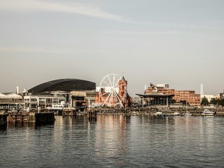 a large ferris wheel sitting in the middle of a body of water