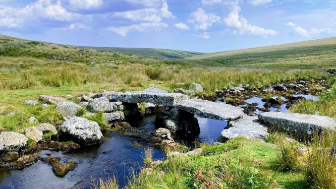 a stream of water surrounded by grass and rocks
