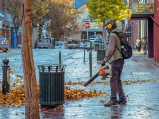 fall, nature, blowing street, leaves, blower, street, morning, trees, stores, alone, backpack