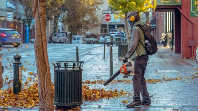 fall, nature, blowing street, leaves, blower, street, morning, trees, stores, alone, backpack