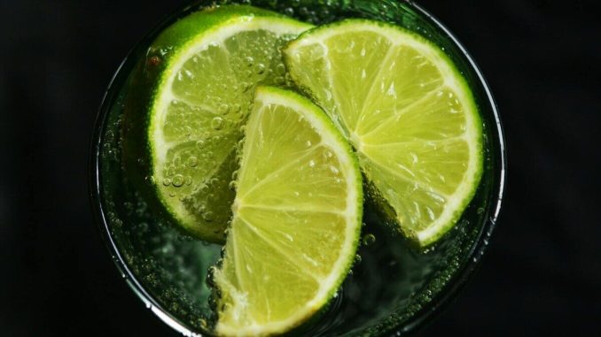 Close-up of fresh lime slices in a glass of sparkling water, refreshing concept.