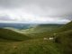 Stunning view of Brecon Beacons in Wales featuring lush hills and grazing sheep under a cloudy summer sky.