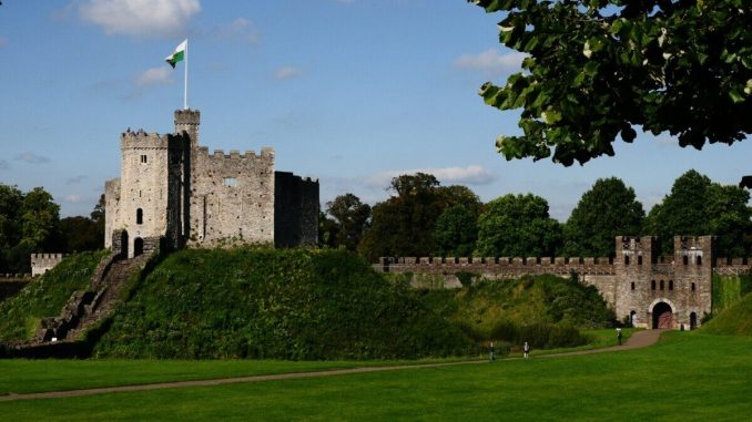 castle surrounded with trees under blue sky